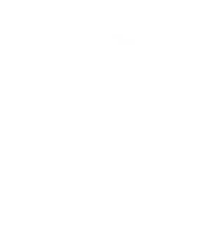 Zerg