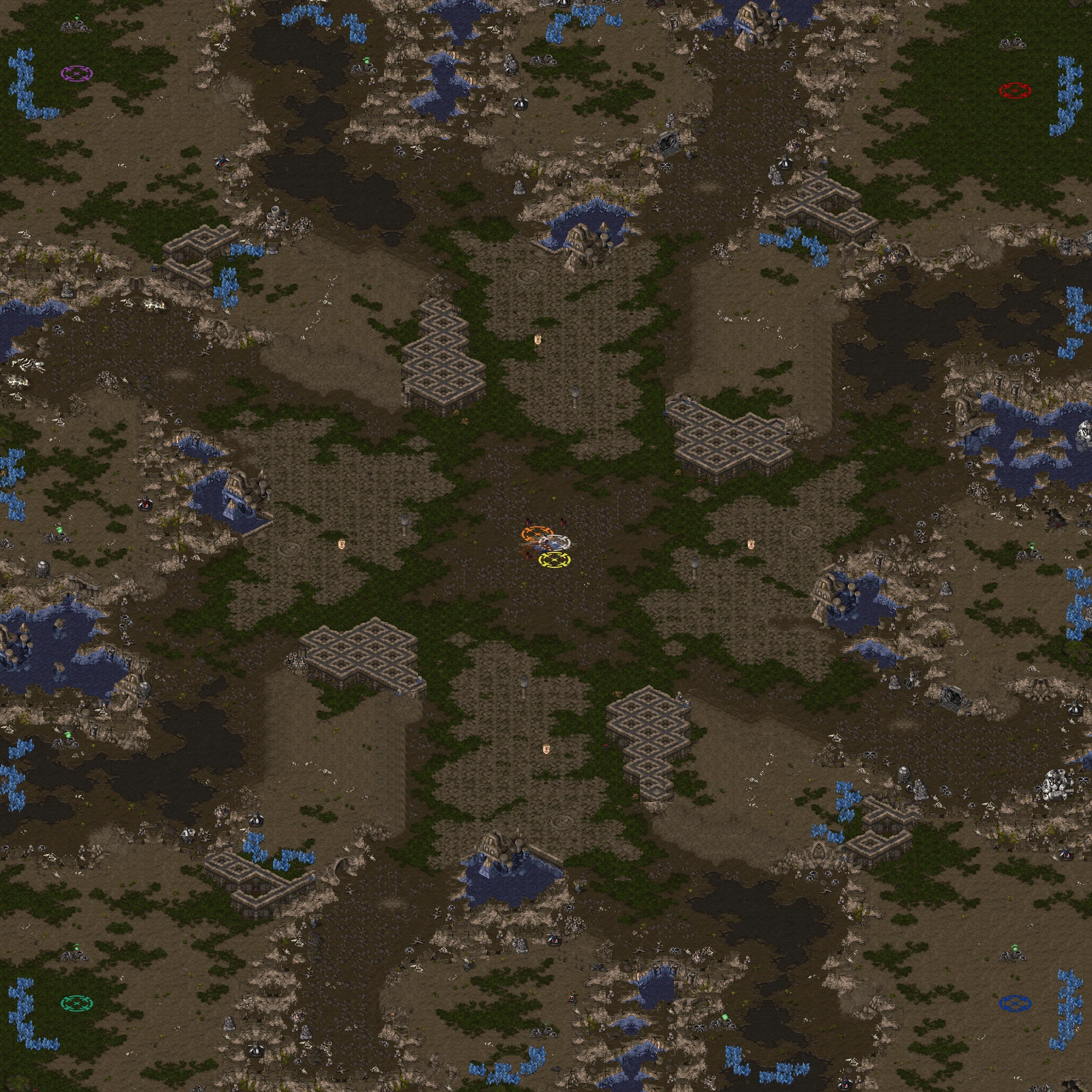 (4)Polypoid 1.75(ob).scx