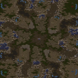 (4)Polypoid 1.71.scx