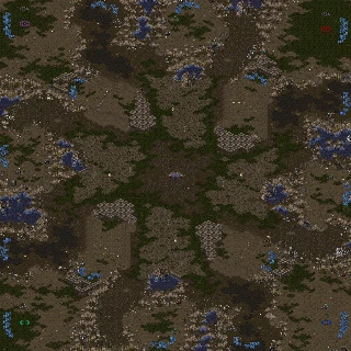 193834,(4)Polypoid 1.65.scx